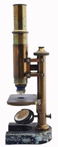 A wooden pole
Description automatically generated