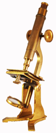 A picture containing table, sitting, banana, wooden
Description automatically generated