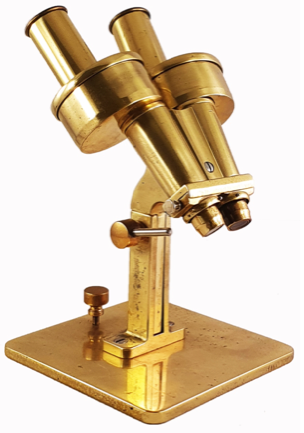A gold microscope on a white background
Description automatically generated