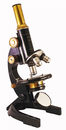 A picture containing sitting, motorcycle, table, person
Description automatically generated