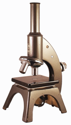 A picture containing sitting, table, clock, holding
Description automatically generated