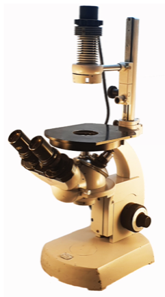 A white microscope with black lenses
Description automatically generated