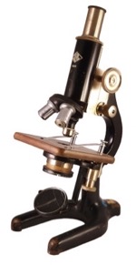 A picture containing indoor, sitting, black, brown
Description automatically generated